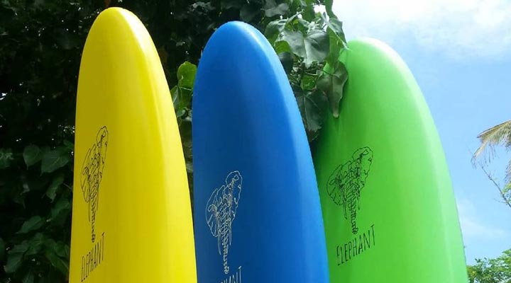 Lions-Rest-Hotel-Surfboard-Surf-Surfing-Surfa-Surfs