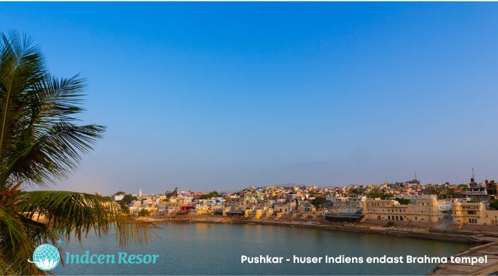 MI-Pushkar