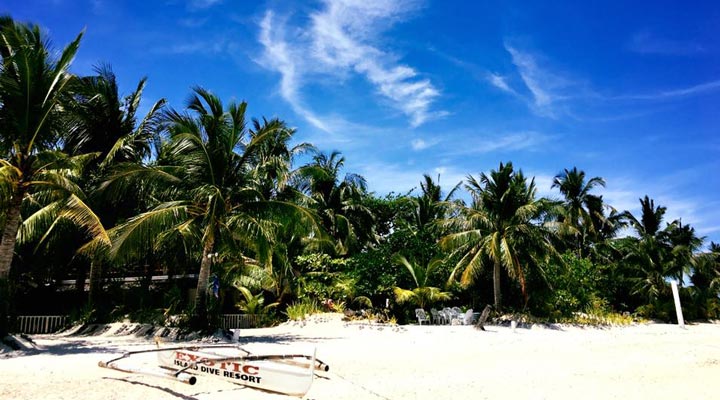 Malapascua-Exotic-Island-Dive-Resort-Boat-Sail-Boats