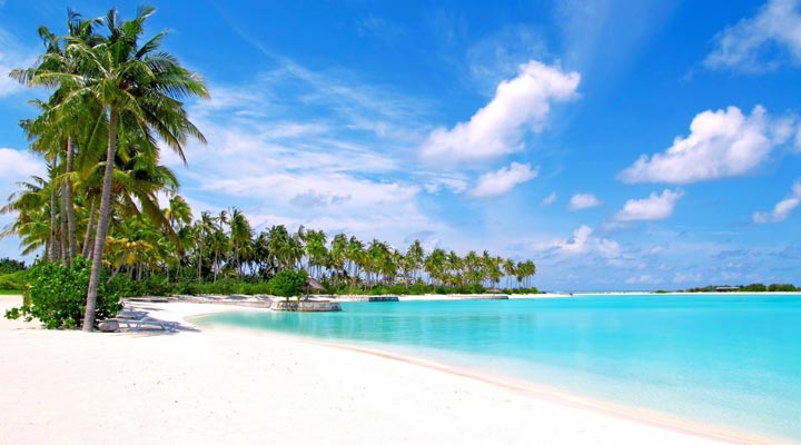 Maldives-Maldiverna-Olhuveli-Beach-Palm