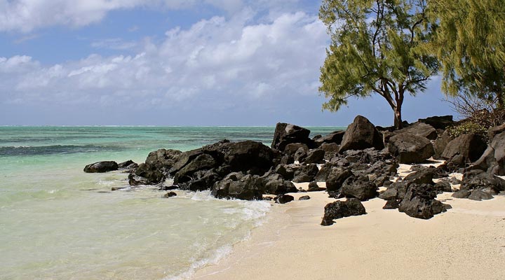 Mauritius-Ile-Auc-Cerfss