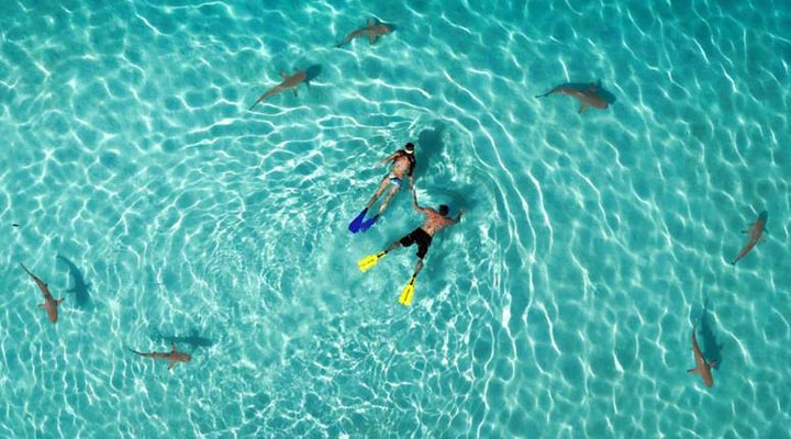 Mauritius-Snorkeling