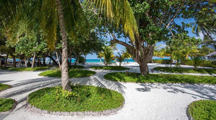 Meeru-Island-Resort-Spa-Sand-Walkways