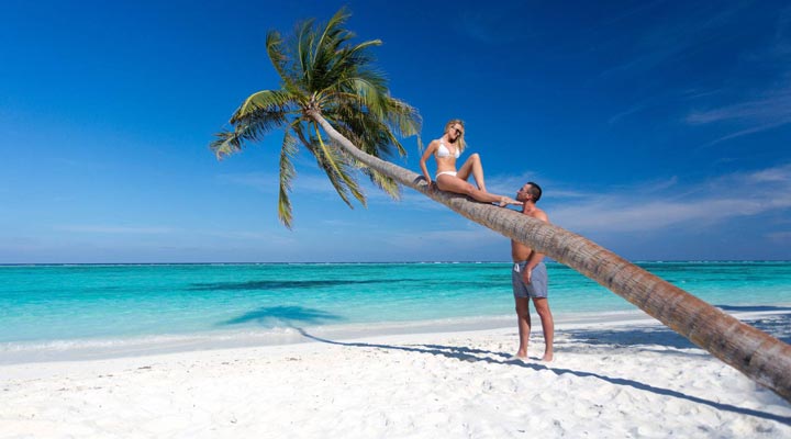 Meeru-Palm-Palms-Meerufenfushi-Strand-Beach-Lagoon-Lagun