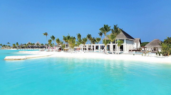 OZEN-Maadhoo-Lagoon-Atmosphere-Pool-Palm