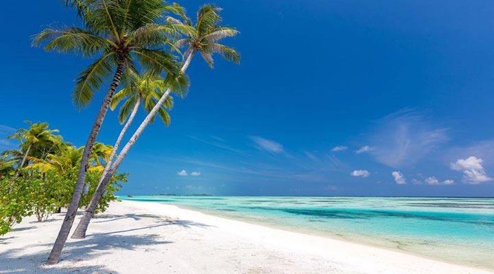 OZEN-by-Atmosphere-at-Maadhoo-Resort-Spa-Beach-Strand-Sand-Palm-Palms