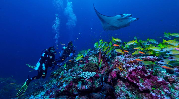 OZEN-by-Atmosphere-at-Maadhoo-Resort-Spa-Dyk-Dyka-Dykning-Dive-Diving