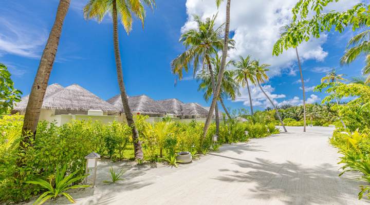 Olhuveli-Beach-Spa-Resort-Road-Vag-Sand-Walk