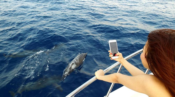 Olhuveli-Dolphins-Dolphin-Boat-Tour-Excursion