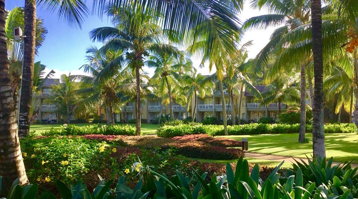 Outrigger-Resort-Spa-MRU-Garden-Tradgard-Palm-Palms