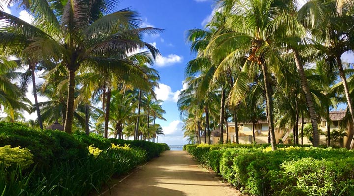 Outrigger-Resort-Spa-MRU-Road-Vag-Walk-Ga-Palm-Palms