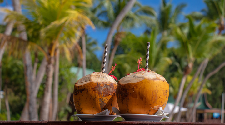 Paradise-Sun-PRI-coconut-cocktail-drink-drinks-cocktails