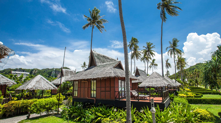 Phi-Phi-Island-Village-Resort-Spa-Grass-Greenery