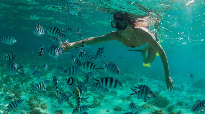 Radisson-Blue-La-Poste-Lafayette-Snorkeling-Mauritius