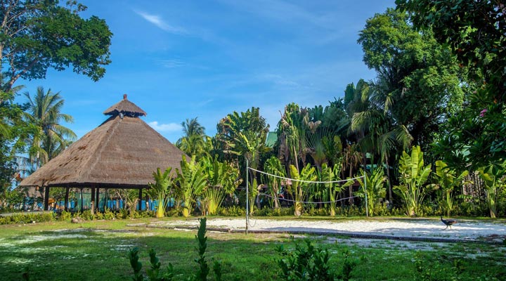 Rawa-Island-Volleyboll