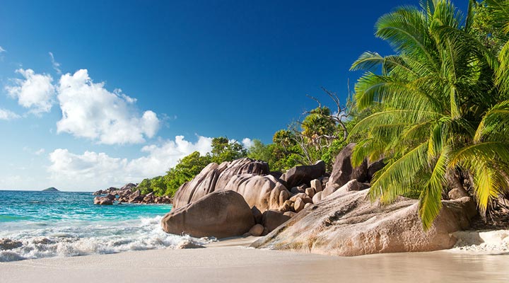 SEZ-Beaches-Beach-Strand-Palm-Palms