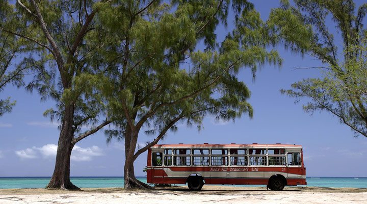 Seapoint-Mauritius-Bus