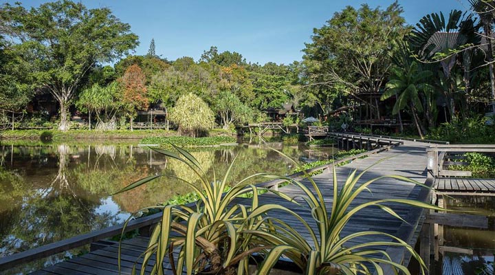 Sepilok-Nature-Resort-Naturen