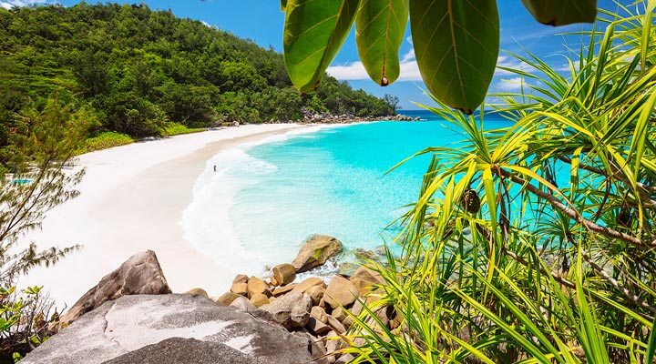 Seychellerna-Anse-Georgette-Praslin