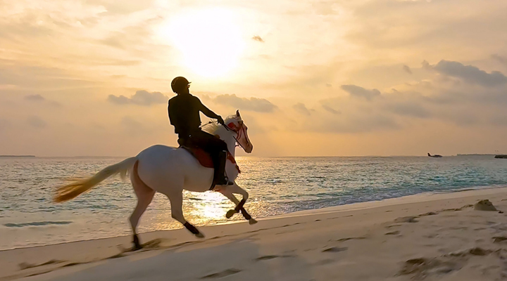 Siyam-World-Resort-Spa-Horse-Horses-Horseback-Horsebackriding-Rida-Ridning