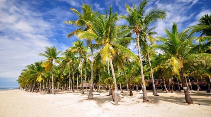 South-Palms-Resort-Spa-Beach-Strand-Palm-Palmer