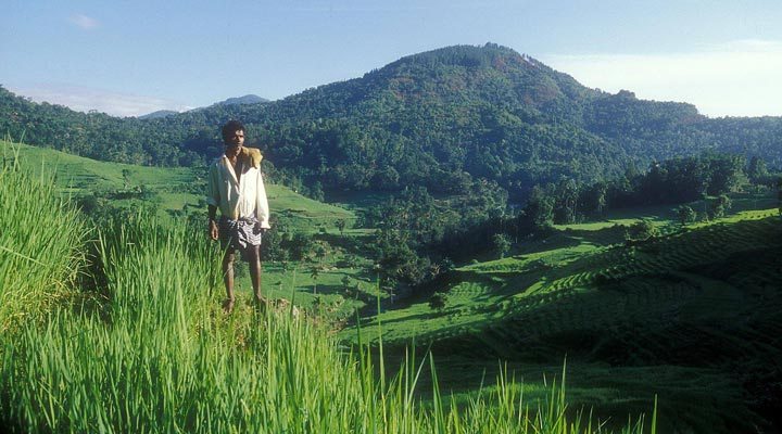 Sri-Lanka-Mountains