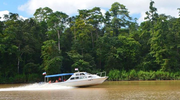 Sukau-Rainforest-Boats