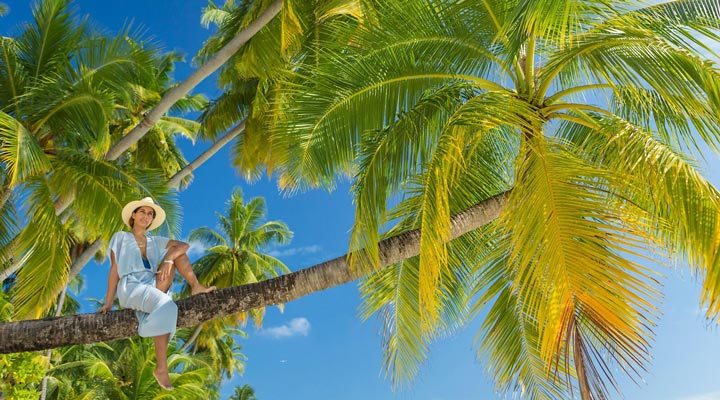 Sun-Aqua-Vilu-Reef-Palm-Palms-Palmtree-Swing-Gunga