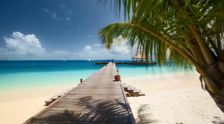 Sun-Aqua-Vilu-Reef-Pier-Beach-Strand-Palm-Lagoon-Lagun-Coconut-Water