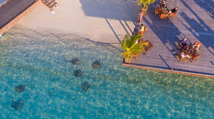 Sun-Aqua-Vilu-Reef-Resort-Spa-Rays-Ray-Rocka-Rockor