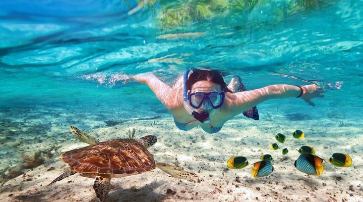 Sun-Aqua-Vilu-Reef-Turtle-Snorkeling-Reef-Sand-Snorkling