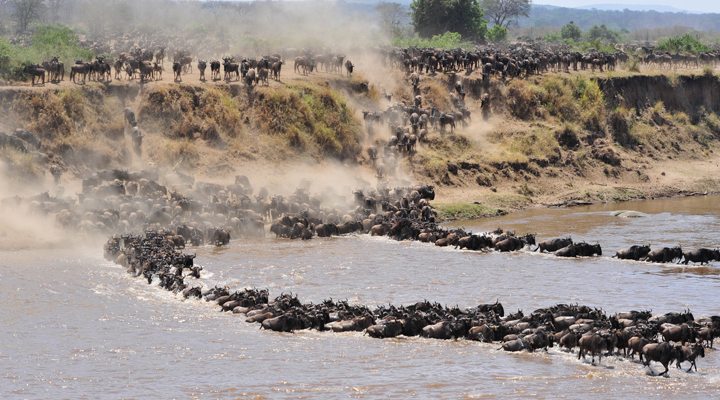 Tanzania-Great-Migration