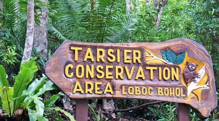 Tarsier-Monkey-Bohol-Panglao-Sign