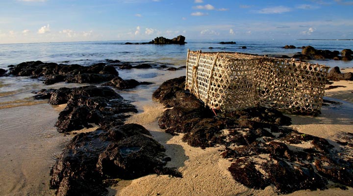 Tekoma-Boutik-Hotel-Beach-Strand-Fish