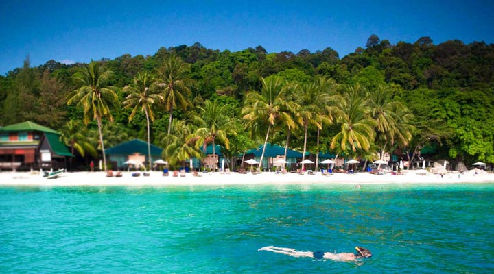 Tuna-Bay-Resort-Snorkeling-Perhentian-Snorkling