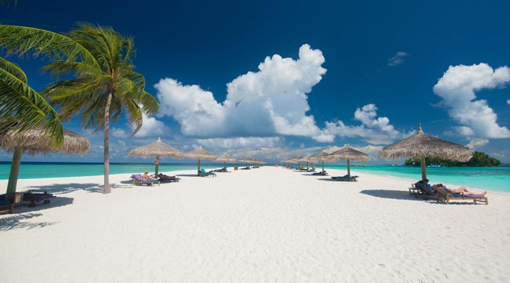 Veligandu-Island-Resort-Spa-Sandbank-Sand-Beach-Strand-Palm