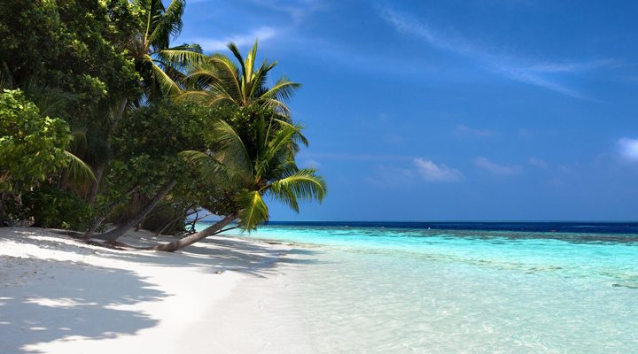 Vilamendhoo-Beach-Palm-Reef-Lagoon-Coconutpalm