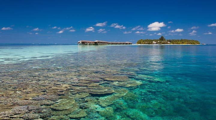 Vilamendhoo-Reefs