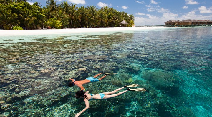 Vilamendhoo-Reefs