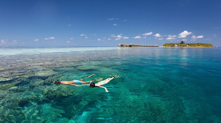 Vilamendhoo-Snorkling-Snorkeling-Reef-Rev-Lagoon-Lagun