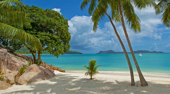 Villa-Deckenia-Beach-Strand-Palm-Palms