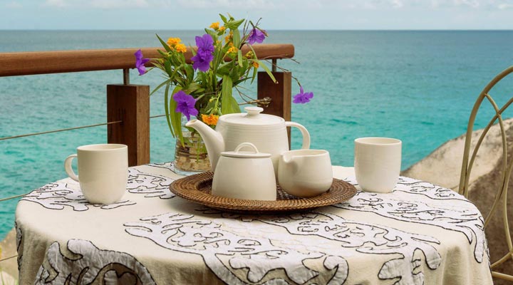 Villa-Seamonkey-Sea-Monkey-Tea-Coffee-Te-Kaffe