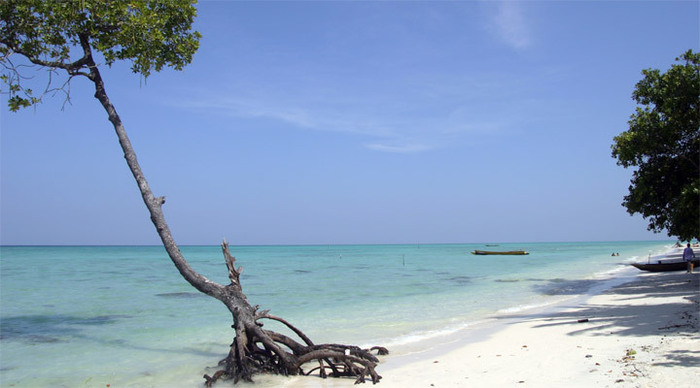 andaman-beach-india_4-2