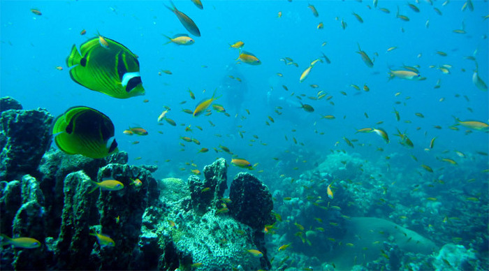 andaman-snorkeling-india_4-2