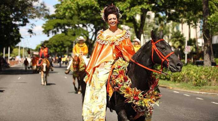 aston-waikiki-horse_4-1