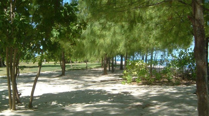 bird-island-interior-seyche_4