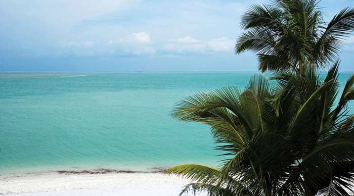 captiva-palms_4