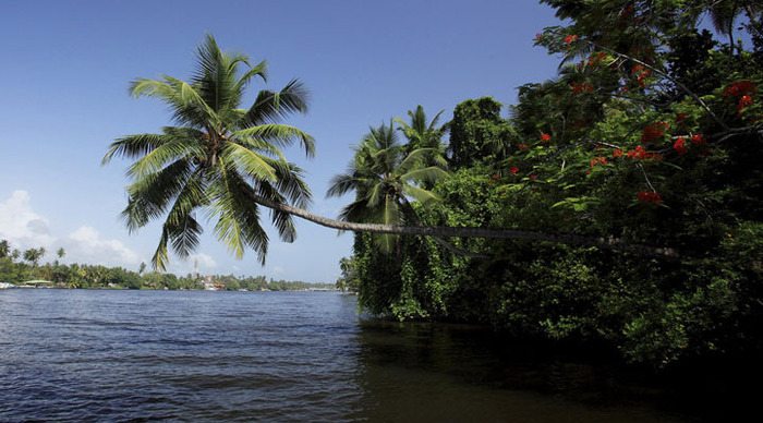 centara-ceysands-river-bentota-sri-lanka_4