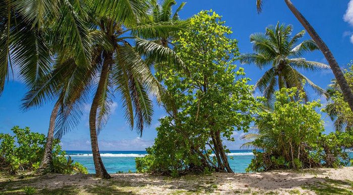 chalets-anse-forbans-palms_4