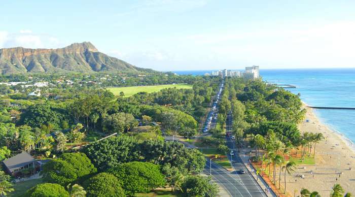 coconut-waikiki-greenery_4